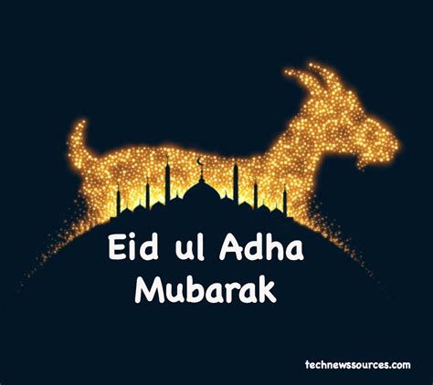 Happy Eid Ul Adha Image Top Eid Mubarak Greetings Images