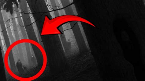 Top 5 Unexplained Forest Mysteries Caught On Tape 🎥👻 Youtube