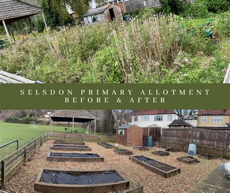 Selsdon Primary Allotment – Selsdon Primary School PTA