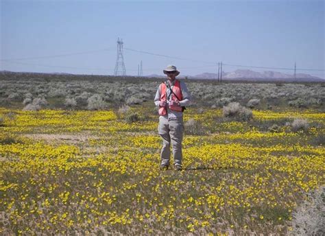 On-Call Biological Contracting Services for Caltrans District 8 · ECORP ...