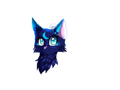 The Midnight Cat By Qqhost On Deviantart