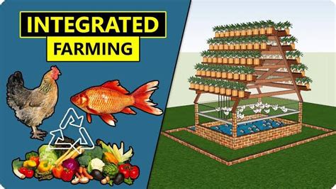 Demi Farms On Twitter Integrated Fish Poultry And Crop Farming Pdf