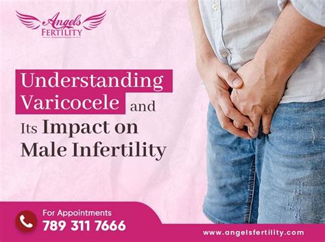 Understanding Varicocele And Its Impact On Male Infertility Angels