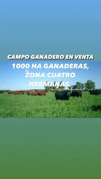 Campo Ganadero En Venta Has Gualeguaych E R Agrofy