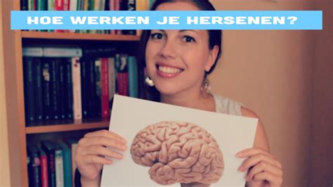 Hoe Werkt Je Brein Voor Beginners YouTube