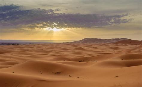 Day Desert Tour To Marrakech Via Merouga Erg Chebbi From Fez