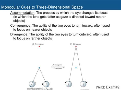 Ppt Space Perception And Binocular Vision Powerpoint Presentation