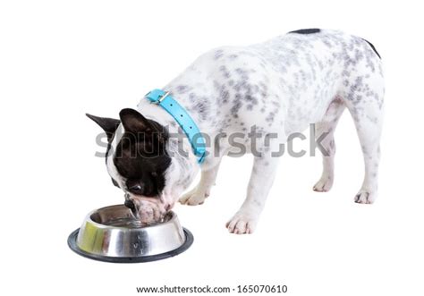 Funny Drinking Water Isolated Full Image Stock Photos - 579 Images ...