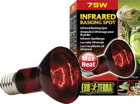 Exoterra Éclairage pour Reptiles Lampe Infrared Basking Spot 75 W Exo