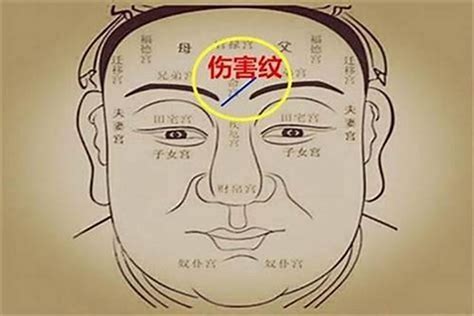 面相怎么看运势？一个人的财运好不好主要看啥财运若朴堂文化