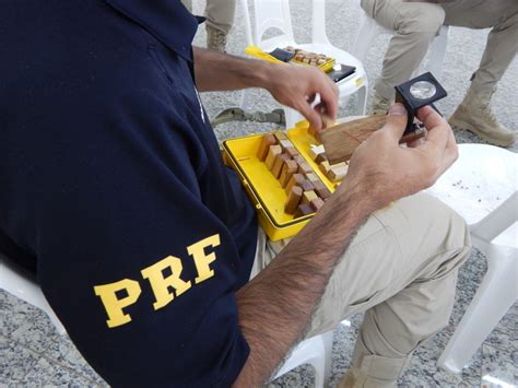 Em Mato Grosso PRF realiza nivelamento de identificação de madeiras