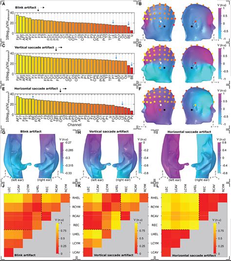 Frontiers Ear Eeg Sensitivity Modeling For Neural Sources And Ocular