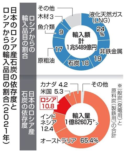 ロシア石炭輸入禁止 首相追加制裁 段階的に削減｜社会｜徳島ニュース｜徳島新聞デジタル