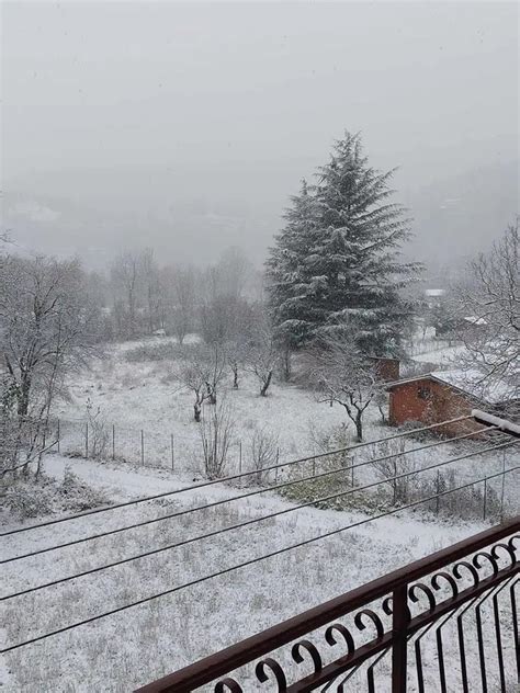 Meteo Si Intensificano Le Nevicate In Piemonte Colpite Anche Torino E