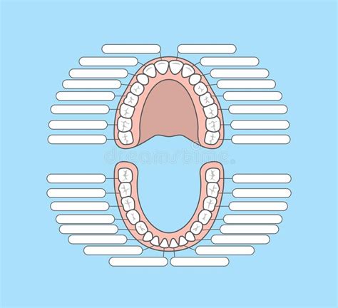 Diagramme De Dent Avec Le Vecteur Infographic D Illustration De Nombre