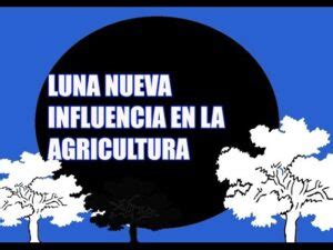 Influencia De Las Fases Lunares En La Agricultura