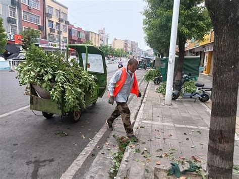 张金镇组织开展环境卫生综合整治行动 荆楚网 湖北日报网