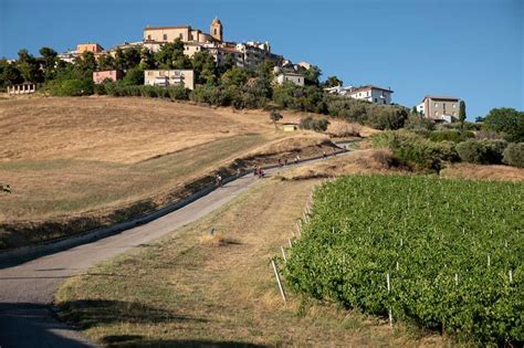 Monteprandone Tra I Borghi Pi Belli Ditalia Il Mascalzone San