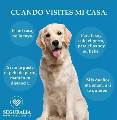 Pin De Marythell Ayalaa En Pensamientos Perros Frases Perros Pasear