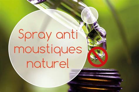 Recette D Un Spray Naturel Aux Huiles Essentielles Contre Les