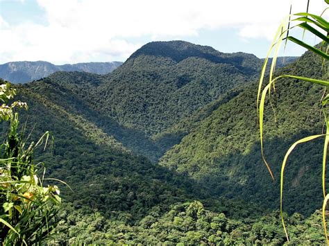 Parque Nacional Braulio Carrillo Braulio Carrillo National Park