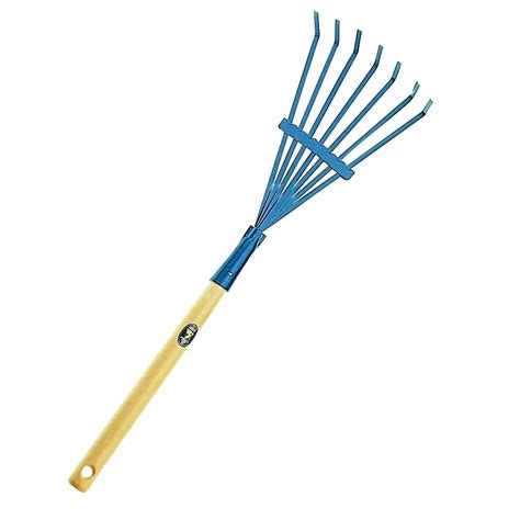 Brosse Dents Plates Manche En Bois Ange De Bergame Cm