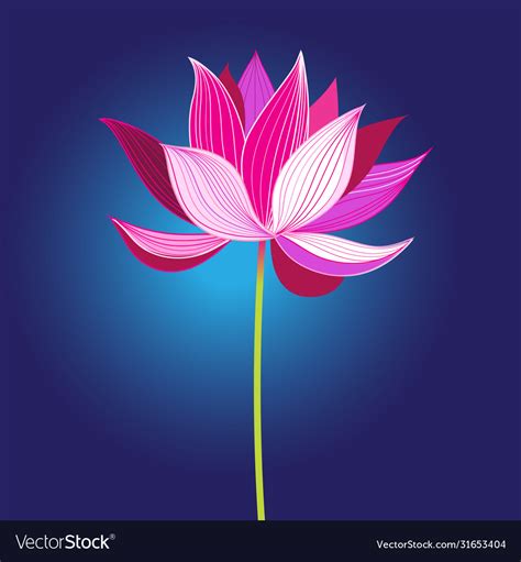 Beautiful Pink Lotus Flower Royalty Free Vector Image