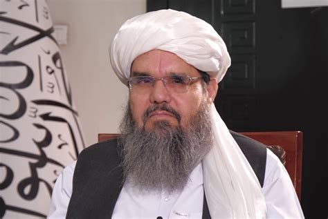 Delawar Islamic Emirate Wants Good Relations With Intl Community Tolonews