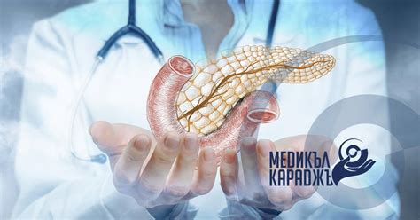 Рак на панкреаса (тумор на панкреаса)
