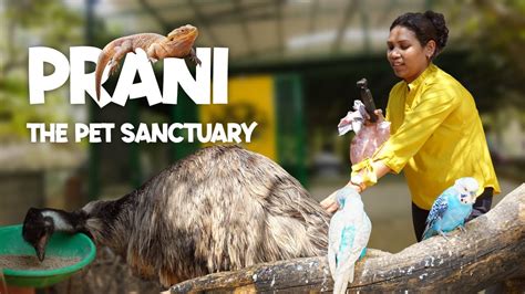 Prani Pet Sanctuary One Day Trip In Bangalore Weekend Gateway With