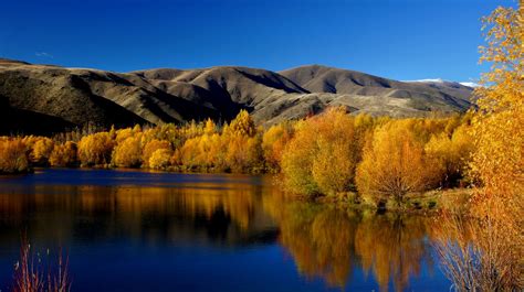 Fotos Gratis Paisaje Rbol Naturaleza Desierto Monta A Planta