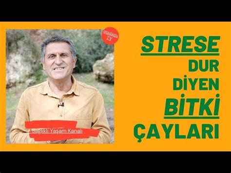 STRESE NE İYİ GELİR I HANGİ BİTKİ EN İYİ GELEN I STRESİ AZALTAN BİTİREN