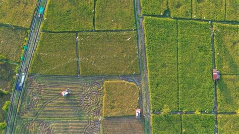 Program Cetak 3 Juta Hektare Sawah Mentan Amran Undang Pengusaha