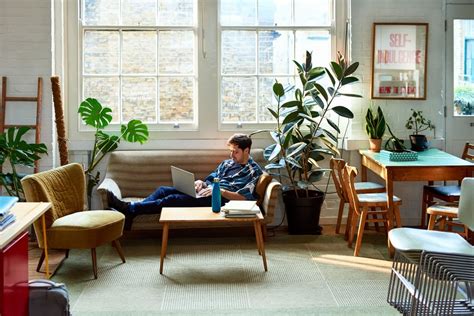 Beneficios De Tener Plantas Para Decorar Tu Hogar Vivir Mejor