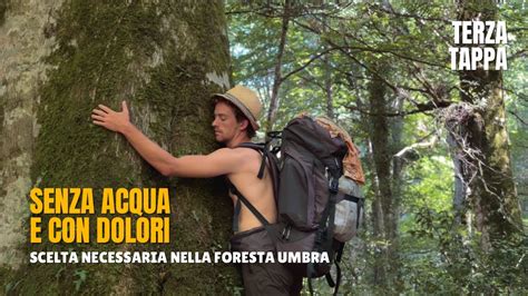 Cammino Verso La Foresta Umbra Dolore Sete E Una Scelta Necessaria