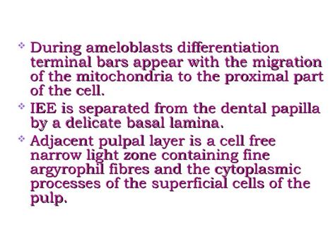 Amelogenesis - Stages of enamel formation