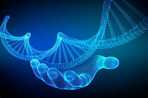 A Prop Sito De Inteligencia Organoide Y Las Redes Neuronales Biol Gicas