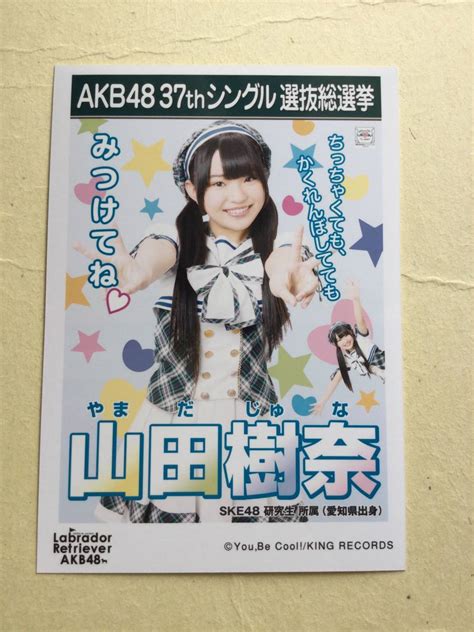 Yahooオークション Akb48 37th シングル選抜総選挙 Ske48 研究生 所