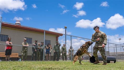 DVIDS News Pacific Air Forces Strengthens Partnerships During