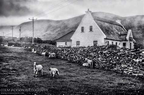 Sheep Farm. Dingle. Ireland. www.colmjackson.com Sheep Farm, Ireland, Jackson, Photographer ...