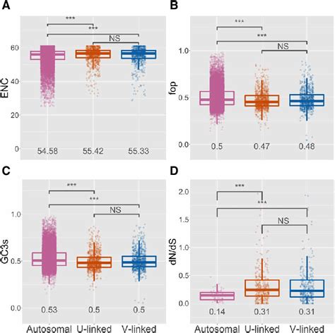 Molecular Evolution Of Autosomal And Sex Linked Genes In C Purpureus Download Scientific