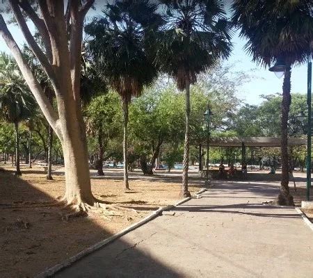 Morador de rua é morto uma paulada na cabeça no Centro de Teresina