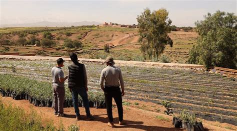 In Emergency Break Glass The High Atlas Foundation Experience OpEd