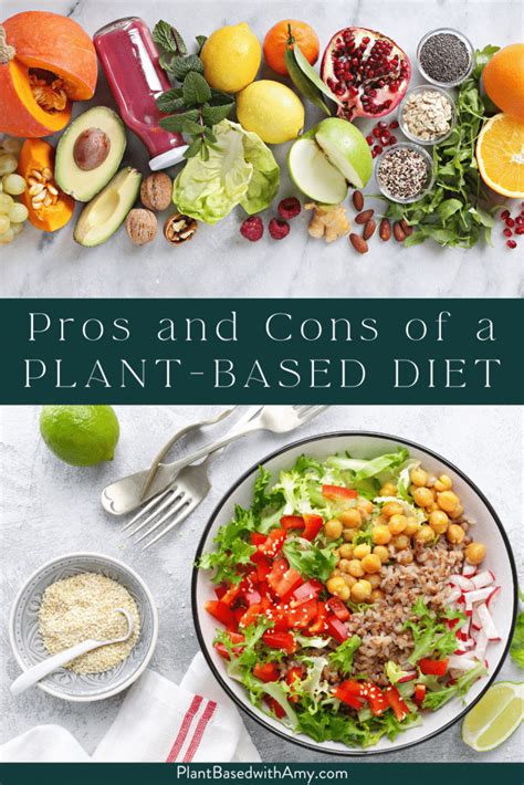 Pros And Cons Of A Plant Based Diet Plant Based With Amy