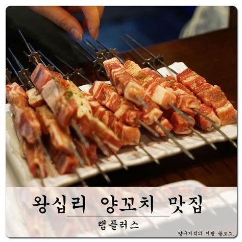 왕십리 양꼬치 맛집 램플러스 후기 네이버 블로그