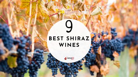 A Guide to Shiraz Wine: Our Picks for the 9 Best Shiraz Wine