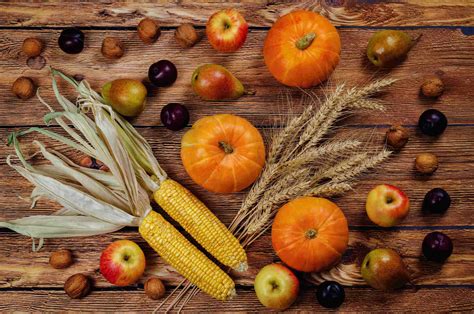 Cosa Mangiare A Novembre Ecco Gli Alimenti Dellautunno Menatti