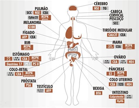 Marcadores Tumorales La Escuelita Médica