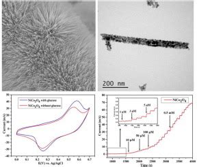 Highly Sensitive Non Enzymatic Glucose Sensor Based On Porous Nico O