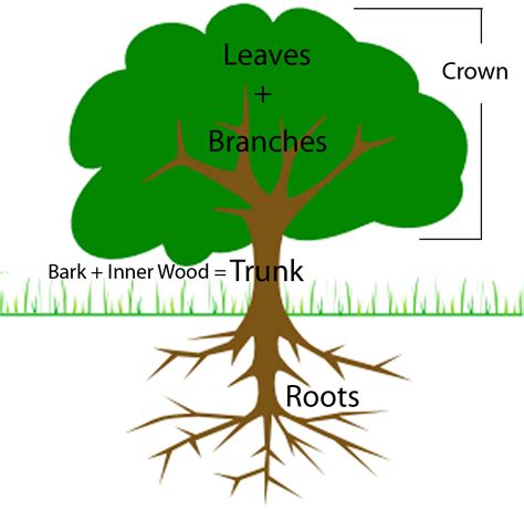 A Flock Of Pixels Trees In Diagrams